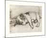 Premium Giclee Print