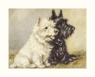 Scotch Terriers-Mac-Premium Giclee Print