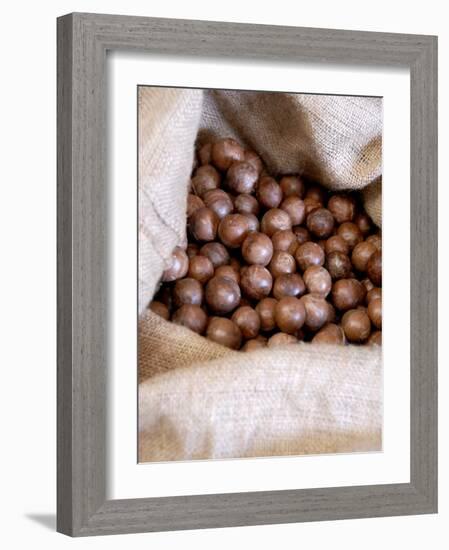 Macadamia Nuts, Ok Farms, Hilo, Big Island, Hawaii, USA-Cindy Miller Hopkins-Framed Photographic Print