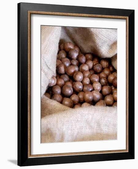 Macadamia Nuts, Ok Farms, Hilo, Big Island, Hawaii, USA-Cindy Miller Hopkins-Framed Photographic Print