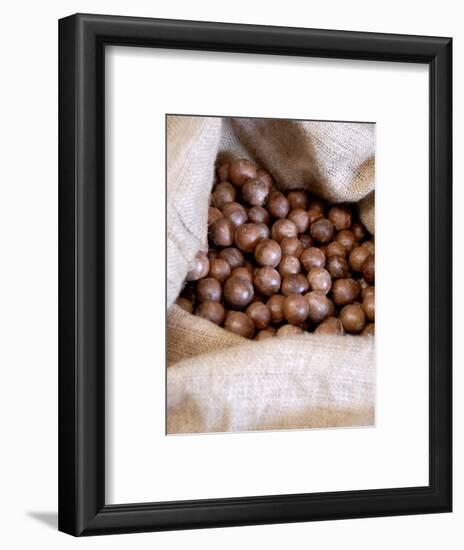 Macadamia Nuts, Ok Farms, Hilo, Big Island, Hawaii, USA-Cindy Miller Hopkins-Framed Photographic Print