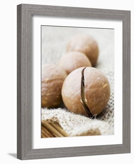 Macadamia Nuts-Frank Tschakert-Framed Photographic Print