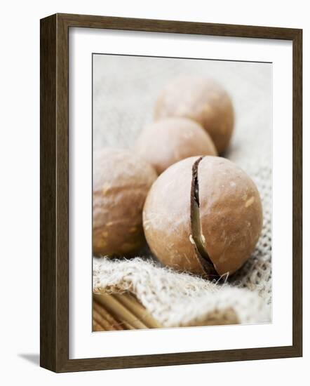 Macadamia Nuts-Frank Tschakert-Framed Photographic Print