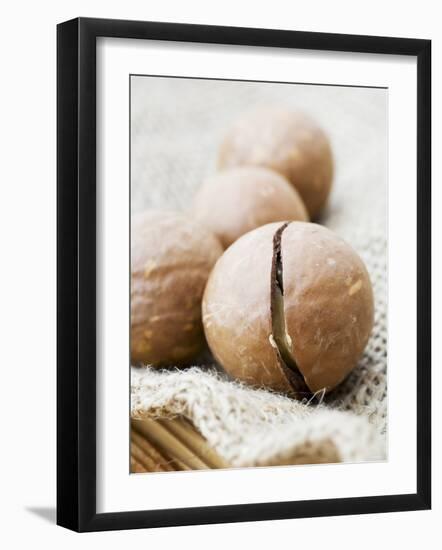 Macadamia Nuts-Frank Tschakert-Framed Photographic Print