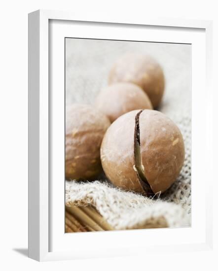 Macadamia Nuts-Frank Tschakert-Framed Photographic Print