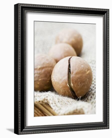 Macadamia Nuts-Frank Tschakert-Framed Photographic Print