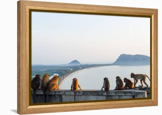 Macaque Monkey (Macaca), Khao Chong Krajok, Prachuap Kiri Khan, Thailand, Southeast Asia, Asia-Christian Kober-Framed Premier Image Canvas