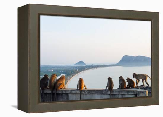 Macaque Monkey (Macaca), Khao Chong Krajok, Prachuap Kiri Khan, Thailand, Southeast Asia, Asia-Christian Kober-Framed Premier Image Canvas