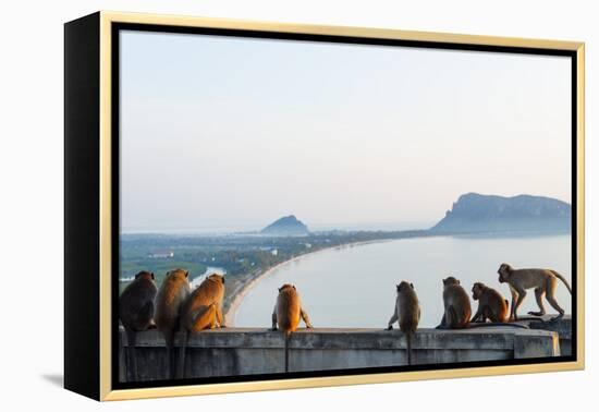 Macaque Monkey (Macaca), Khao Chong Krajok, Prachuap Kiri Khan, Thailand, Southeast Asia, Asia-Christian Kober-Framed Premier Image Canvas