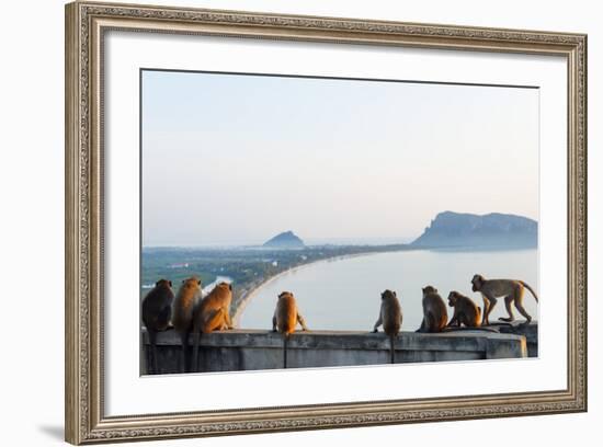 Macaque Monkey (Macaca), Khao Chong Krajok, Prachuap Kiri Khan, Thailand, Southeast Asia, Asia-Christian Kober-Framed Photographic Print