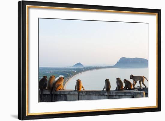 Macaque Monkey (Macaca), Khao Chong Krajok, Prachuap Kiri Khan, Thailand, Southeast Asia, Asia-Christian Kober-Framed Photographic Print