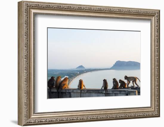 Macaque Monkey (Macaca), Khao Chong Krajok, Prachuap Kiri Khan, Thailand, Southeast Asia, Asia-Christian Kober-Framed Photographic Print