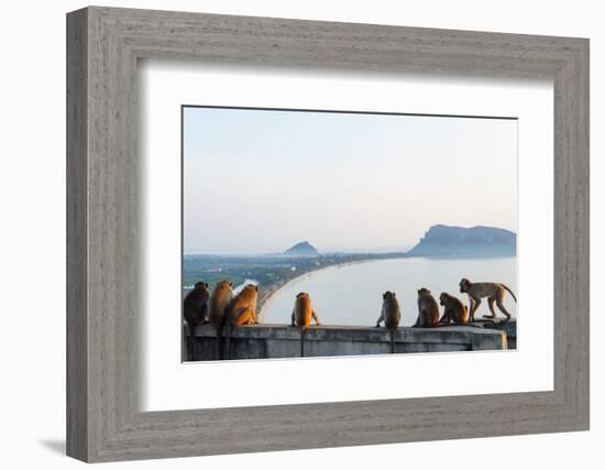 Macaque Monkey (Macaca), Khao Chong Krajok, Prachuap Kiri Khan, Thailand, Southeast Asia, Asia-Christian Kober-Framed Photographic Print