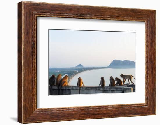 Macaque Monkey (Macaca), Khao Chong Krajok, Prachuap Kiri Khan, Thailand, Southeast Asia, Asia-Christian Kober-Framed Photographic Print