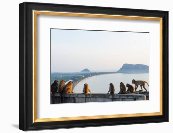 Macaque Monkey (Macaca), Khao Chong Krajok, Prachuap Kiri Khan, Thailand, Southeast Asia, Asia-Christian Kober-Framed Photographic Print