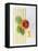 Macaroni, Farfalle, Tomato and Basil-null-Framed Premier Image Canvas