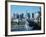 Macarthur Pk, La California-Mark Gibson-Framed Photographic Print