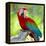 Macaw Sitting On Branch-mirceab-Framed Premier Image Canvas