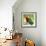 Macaw Sitting On Branch-mirceab-Framed Photographic Print displayed on a wall