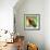 Macaw Sitting On Branch-mirceab-Framed Photographic Print displayed on a wall