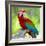 Macaw Sitting On Branch-mirceab-Framed Photographic Print