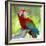 Macaw Sitting On Branch-mirceab-Framed Photographic Print