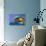 Macaw-Netfalls-Photographic Print displayed on a wall