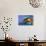 Macaw-Netfalls-Photographic Print displayed on a wall