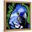 Macaw-null-Framed Stretched Canvas