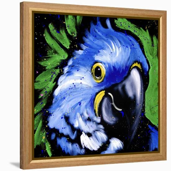 Macaw-null-Framed Stretched Canvas