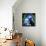 Macaw-null-Framed Stretched Canvas displayed on a wall