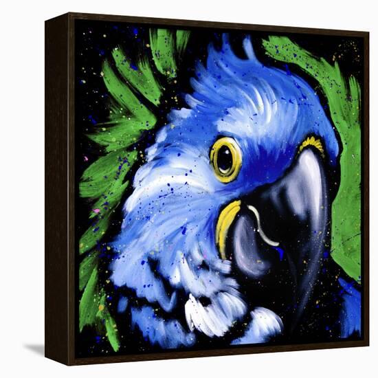 Macaw-null-Framed Stretched Canvas