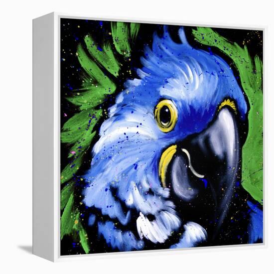 Macaw-null-Framed Stretched Canvas
