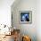 Macaw-null-Framed Art Print displayed on a wall