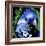 Macaw-null-Framed Art Print