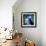 Macaw-null-Framed Art Print displayed on a wall