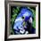 Macaw-null-Framed Art Print