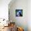 Macaw-null-Mounted Art Print displayed on a wall