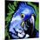 Macaw-null-Mounted Art Print