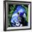 Macaw-null-Framed Art Print