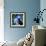 Macaw-null-Framed Art Print displayed on a wall