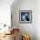 Macaw-null-Framed Art Print displayed on a wall