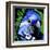 Macaw-null-Framed Art Print