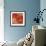 Macaw-Alexys Henry-Framed Giclee Print displayed on a wall