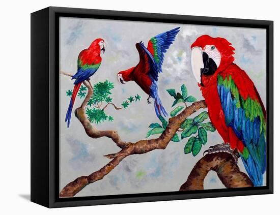 Macaws, 2006-Maylee Christie-Framed Premier Image Canvas
