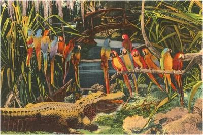 Alligators & Crocodiles Wall Art: Prints and Paintings | Art.com