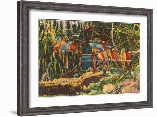 Macaws and Alligator, Florida-null-Framed Art Print