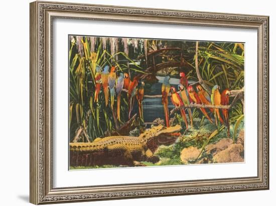 Macaws and Alligator, Florida-null-Framed Premium Giclee Print