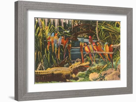 Macaws and Alligator, Florida-null-Framed Premium Giclee Print