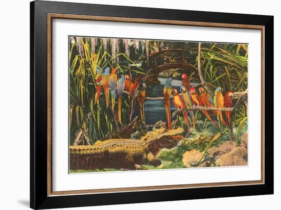 Macaws and Alligator, Florida-null-Framed Premium Giclee Print